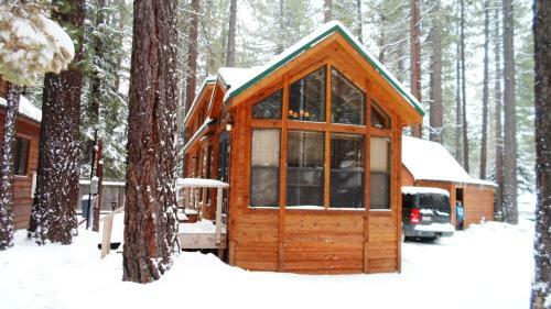 Cedar Pines Resort