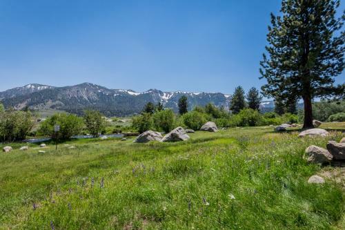 Mammoth Creek Condos