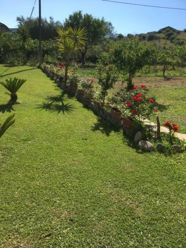 B&B Adema