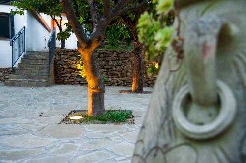 Bed & Breakfast Gli Aranci