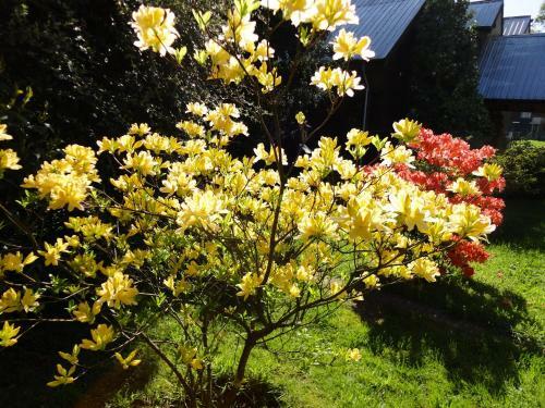 Hotel Complejo Tur�stico Puc�n