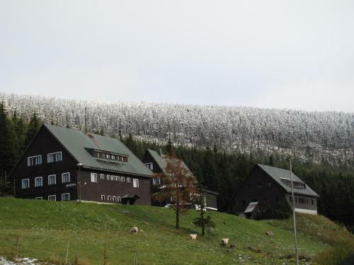 Hostal Pension Martin