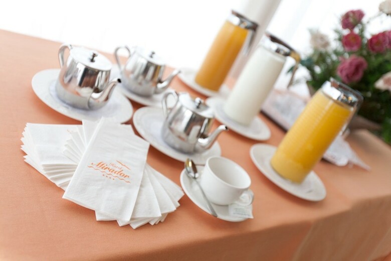 Hotel Mirador