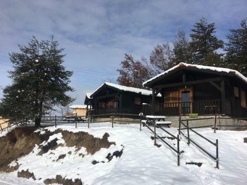 Camping Ripolles