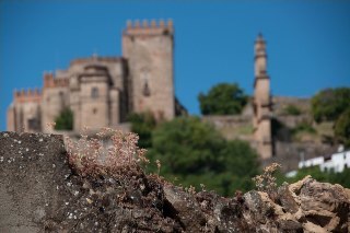 Hotel Hospeder�a Reina De Los �ngeles
