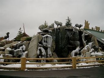 Lodge Hibernation Station