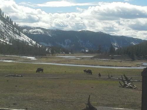 West Yellowstone Bed And Breakfast