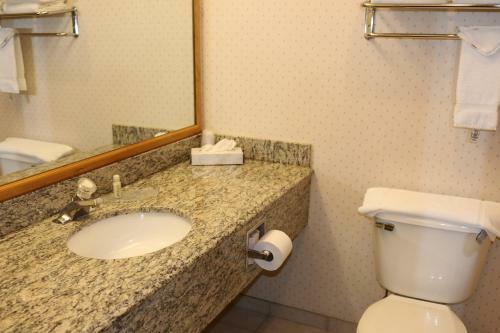 Hotel Gray Wolf Inn & Suites