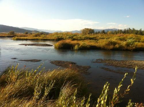 Yellowstone Under Canvas