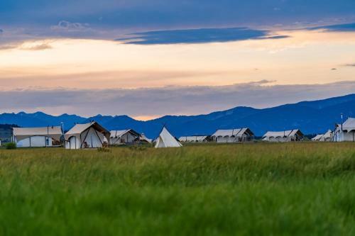Yellowstone Under Canvas