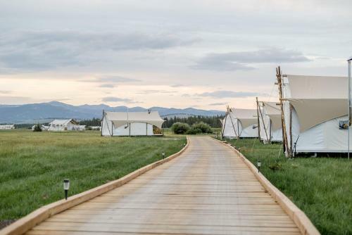 Yellowstone Under Canvas