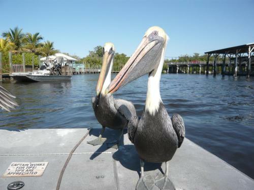 Villa Cape Florida