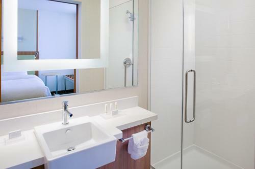 Hotel Springhill Suites By Marriott Dallas Lewisville
