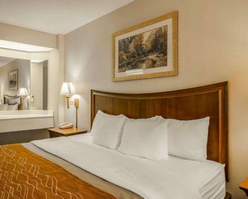 Hotel Comfort Inn On The River - Cherokee