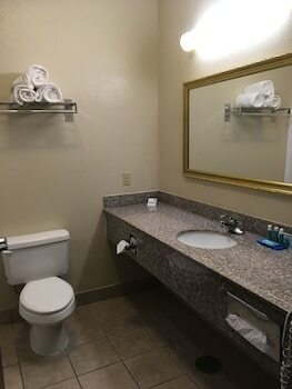 Holiday Inn Express Hotel & Suites Cadillac
