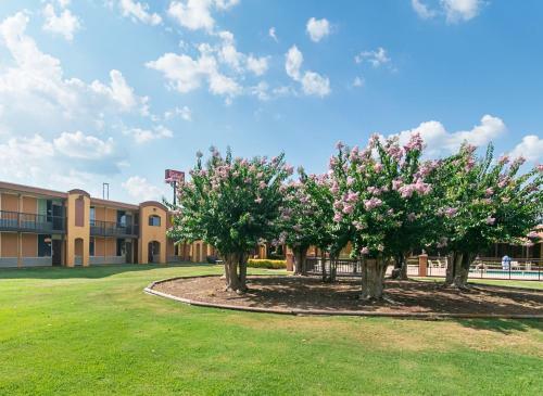 Motel Red Roof Inn Forsyth