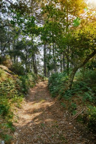 Hostal Quinta Da Bouca D'arques