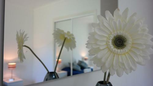Bicos Beach Apartments Al By Albufeira Rental