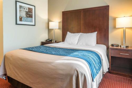 Hotel Comfort Inn Lacey