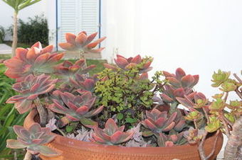 Ericeira Chill Hill Hostel & Private Rooms