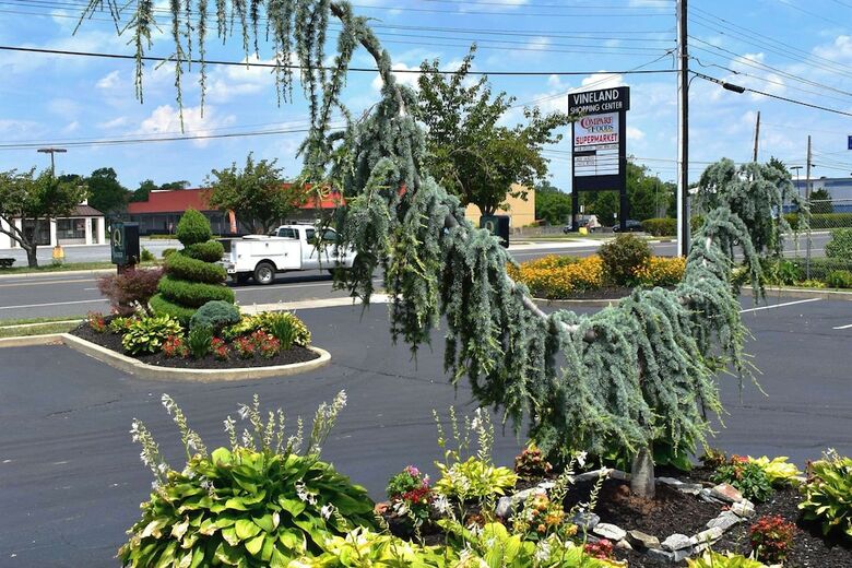 Hotel Comfort Inn Vineland Millville