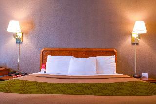 Motel Econo Lodge Willowbrook