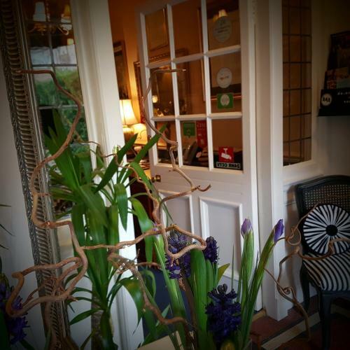 Hostal Aonach Mor Guest House