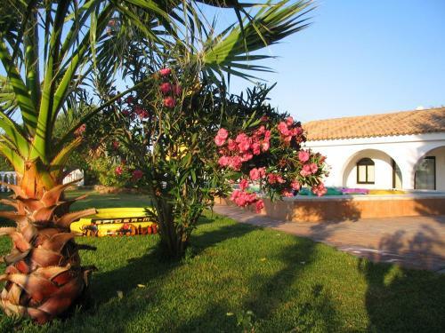 Villa Quinta Das Flores