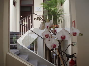 Hostal Residencial Do Vale