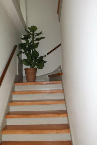 Hostal Hospedaria 31 De Janeiro