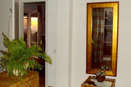 Agroturismo Salgadinho Casa de Campo & Selao Da Eira Velha