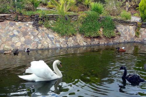 Agroturismo Salgadinho Casa de Campo & Selao Da Eira Velha