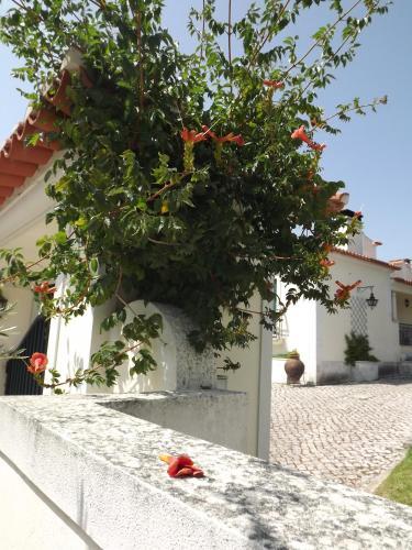 Bed & Breakfast Pegada Real