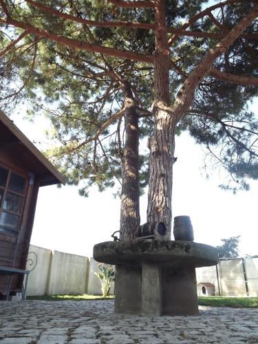 Bed & Breakfast Pegada Real