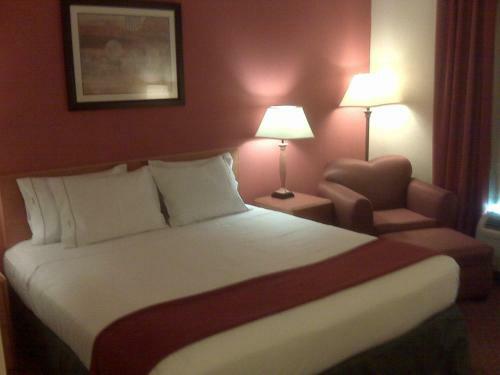 Hotel Holiday Inn Express Williamston