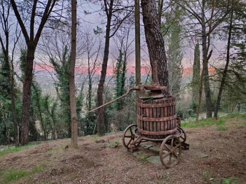 B&B Antico Podere Il Bugnolo