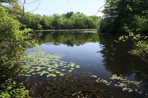 On Cranberry Pond Bed And Breakfast