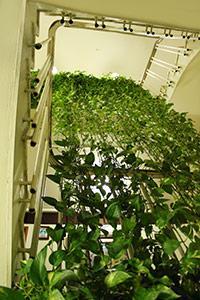 Hotel San Carlos
