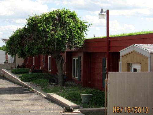 Earth Inn Motel - Jackson