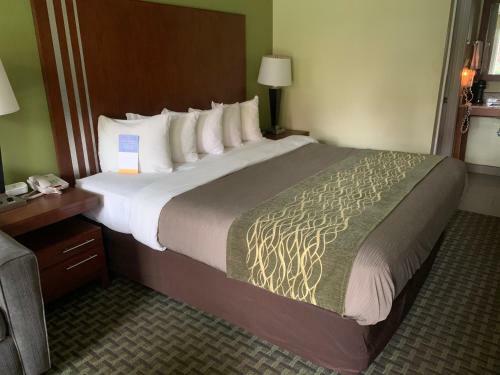 Hotel Days Inn By Wyndham Austintown