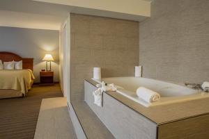 Hotel Quality Inn And Conference Center Burr Ridge