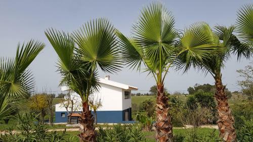 Vila Valmonte