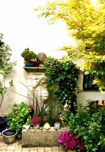 Hostal La Maison Du Palmier