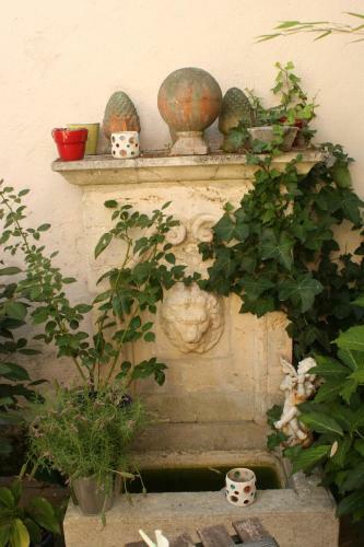 Hostal La Maison Du Palmier