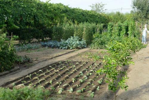 Agroturismo Casa De Docim