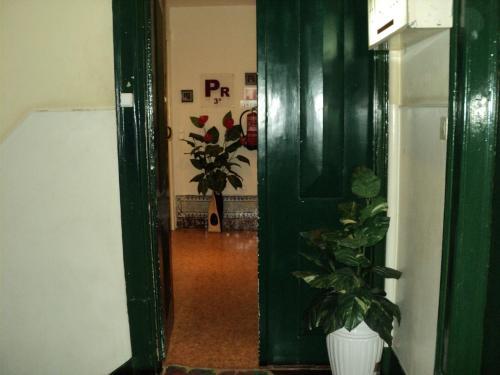 Hostal Rossio Alojamento Local