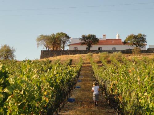 Agroturismo Herdade Do Vau