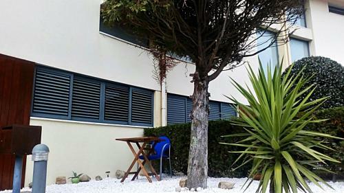 Suite S. Martinho