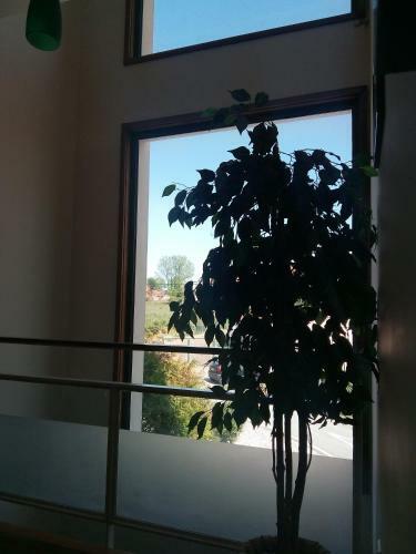 Suite S. Martinho