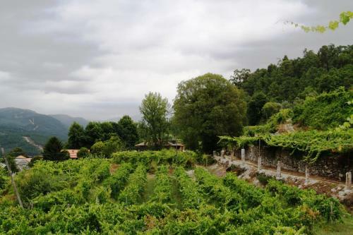 Agroturismo Pousadela